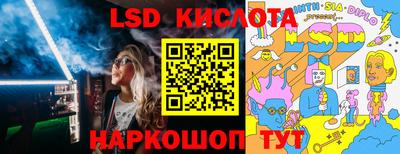 индика Донецк
