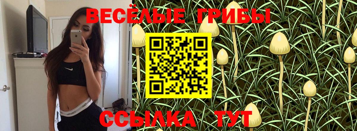 Псилоцибиновые грибы мухоморы Новый Уренгой
