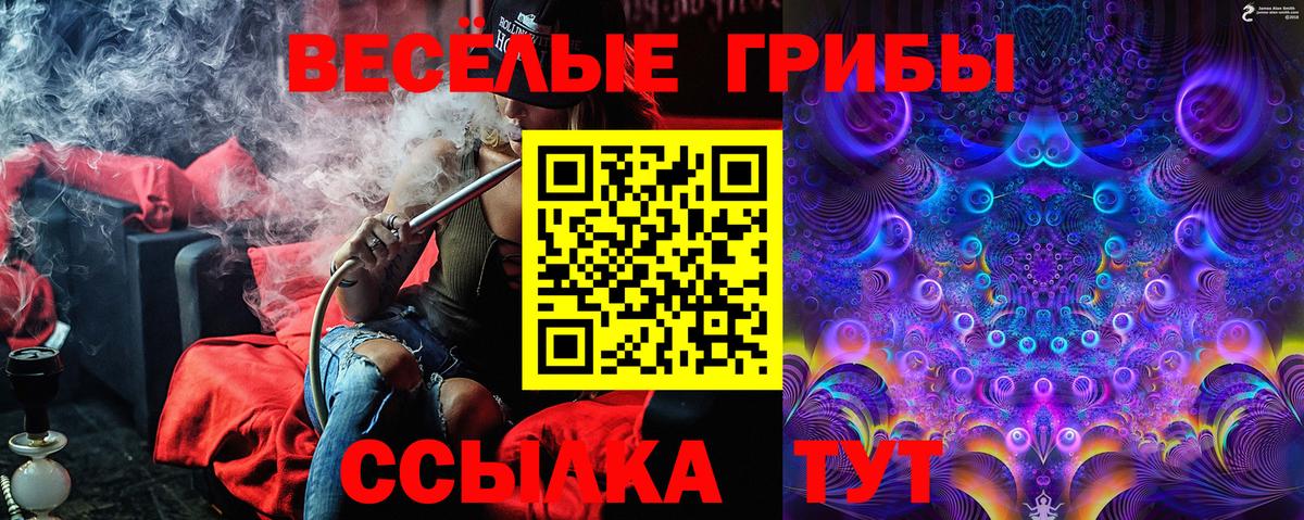 купить наркотик  Вход с VPN  Новый Уренгой  Псилоцибиновые грибы Psilocybe  Галлюциногенные грибы ЛСД 