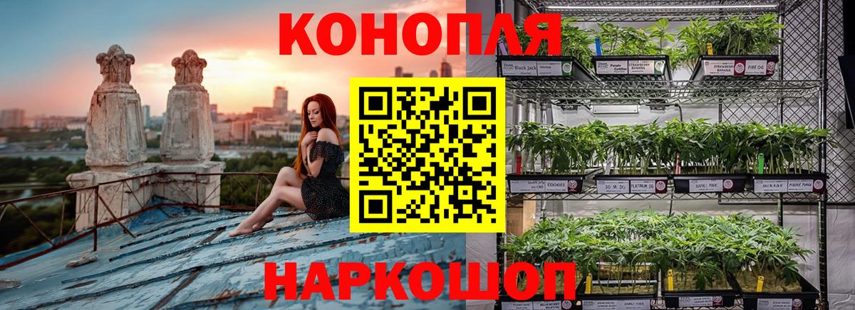 Канабис SATIVA & INDICA  Марихуана Amnesia  Новый Уренгой  МАРИХУАНА тримм  Вход с VPN  Марихуана семена 